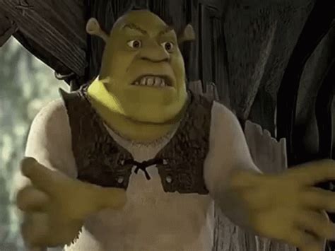 Shrek Angry GIF's | Tenor