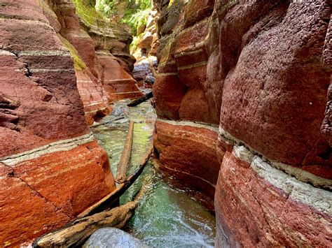 Red Rock Canyon Hike - Waterton Lakes National Park - The Holistic ...