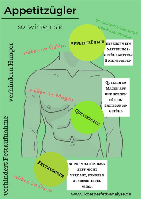 seriöse Diätpillen - wie funktionieren Appetitzügler - Körperfett ...