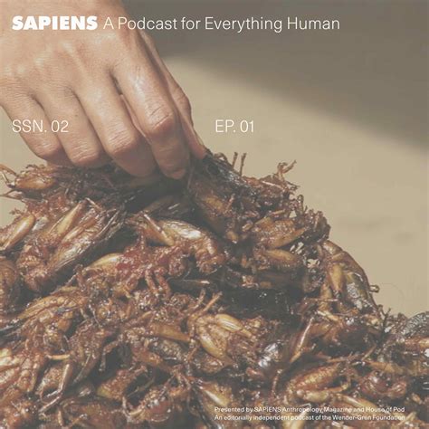 Season 2 – SAPIENS