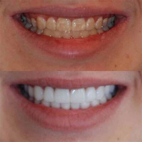 KOUROSH MADDAHI, DDS - Updated August 2024 - 35 Photos & 49 Reviews ...