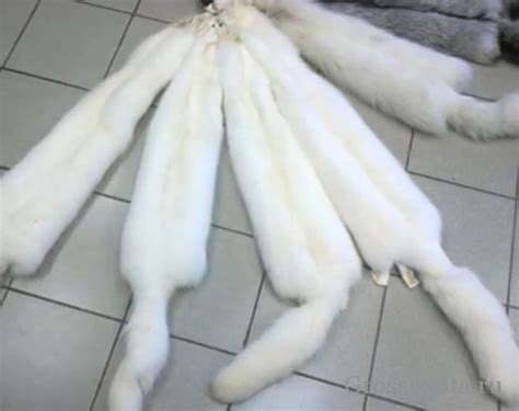 Мех дикого песца