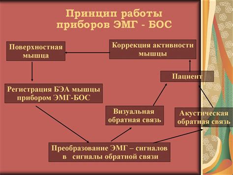 Биологическая обратная связь - презентация онлайн