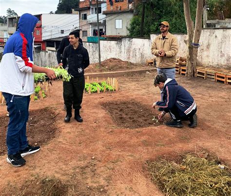 Escola Estadual Jardim Montesano - E.E. Jardim Montesano protagoniza o Projeto Horta nas Escolas ...