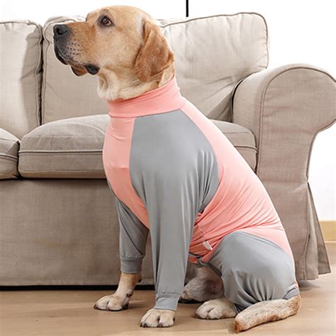 How To Put On Dog Recovery Suit at Odis Langley blog