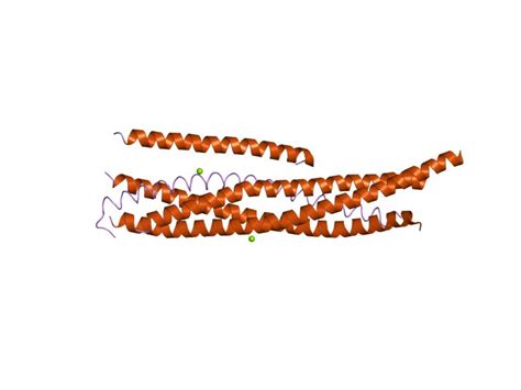 Qa-Snare Proteins