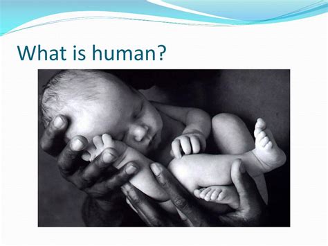 human powerpoint    id