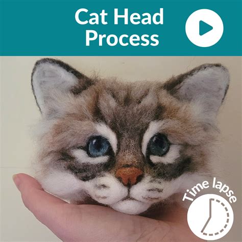 Needle felted eyes tutorial 2 how to make realistic needle felted cat ...