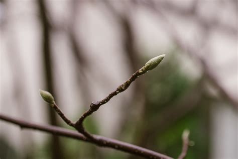 delight – a life developing