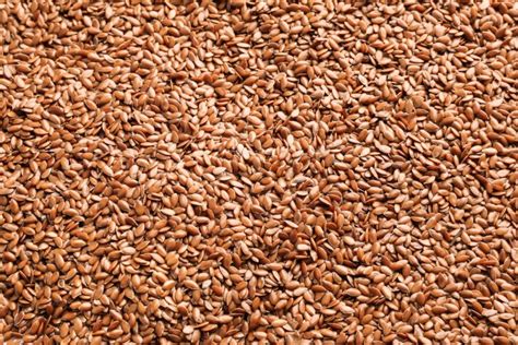 Ціна на сою в Україні Актуальні Ціни 2020 рік | AGRONIZER | Agronizer