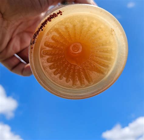 Medical blogs explain why pee smelling like tuna happens now 12