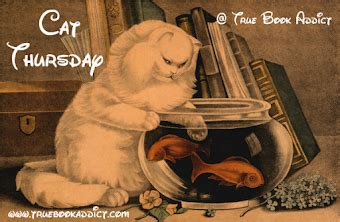 True Book Addict...Books, Cats, and More: Victoria Kincaid's Chaos