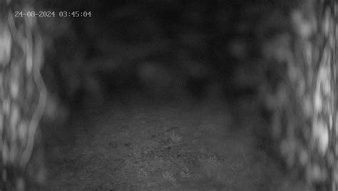 Webcam Gossensaß: Skigebiet Ladurns - Webcam Galore