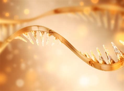 unixgene  transcriptome