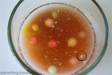 Skittles Science: Exploring Water Stratification
