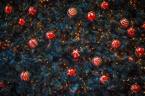 Скачать обои Xmas, Новый Год, ель, красные, Merry, хвоя, New Year ...