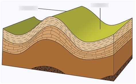 Fold Mountains Diagram | Quizlet