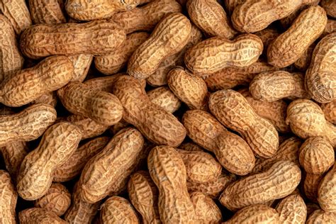 Peanut allergy breakthrough in the UK – The Good News Movement