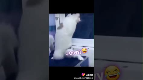 Ору - YouTube