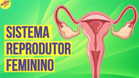 O Sistema Reprodutor Feminino Desempenha As Seguintes Funções Exceto