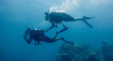 Everything You Need To Know About Scuba Diving | Cairns & Great Barrier ...