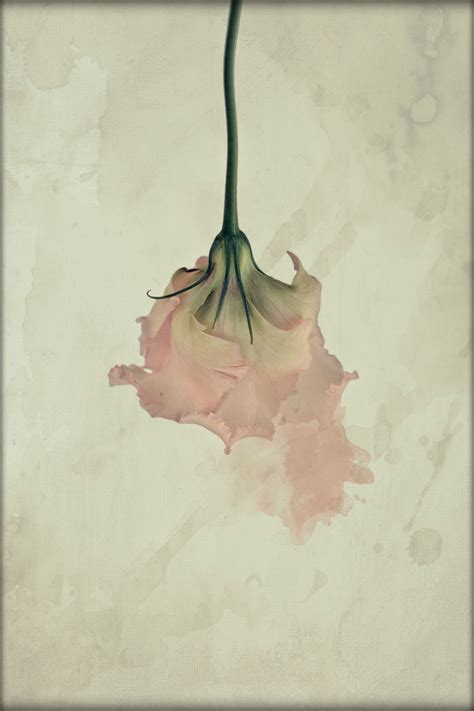Vanishing on Behance