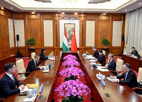 Cina: ministro Esteri esorta solidi legami con Europa per maggiore ...