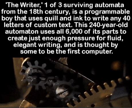 follow  follow followfollow gif wifflegif