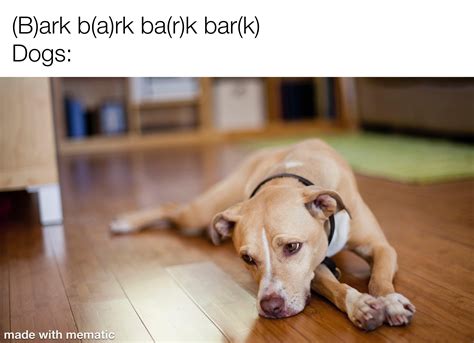 Sad bark noise. : r/memes