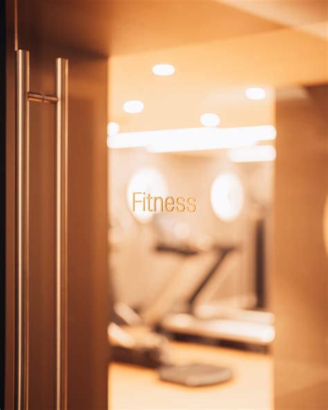 Exploring the Fitness Landscape: A Comprehensive Guide to Gym