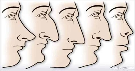 The Shape Of Your Nose Tells A Ton About Your Personality! | ThatViralFeed