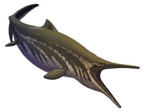 The first definite ichthyosaur fossil found in... | Nix Draws Stuff