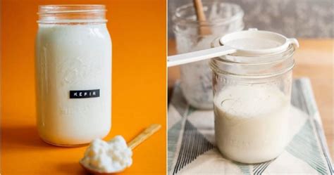 resep  makanan fermentasi sehat mudah dibuat sendiri  rumah