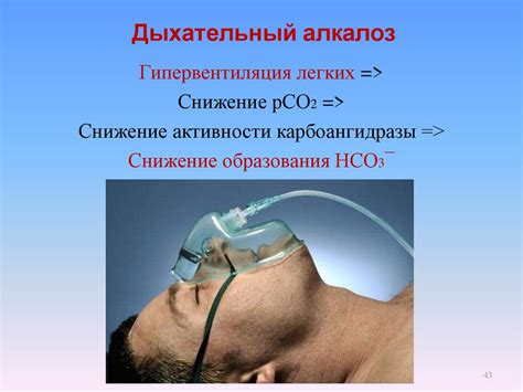 Кислотность крови: понятие, норма в анализе, отклонения