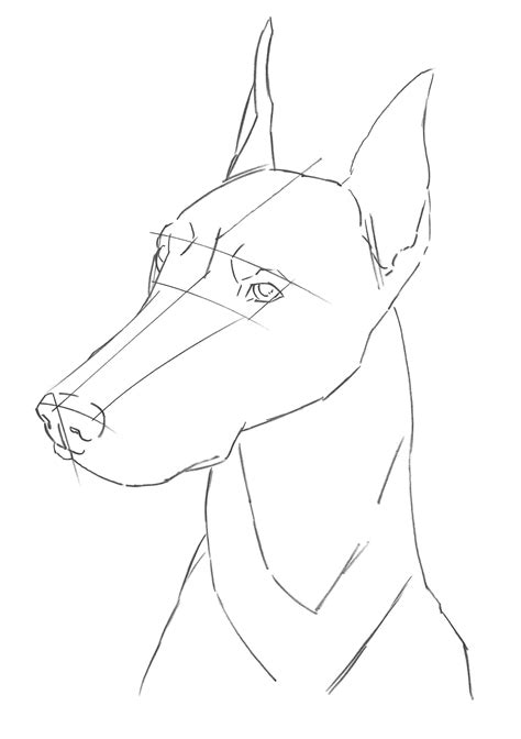 How to Draw a Dog? - 10 Dog Drawing Tutorials | Dog drawing tutorial ...