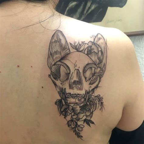Cat Skull Tattoo Ideas and the Meaning