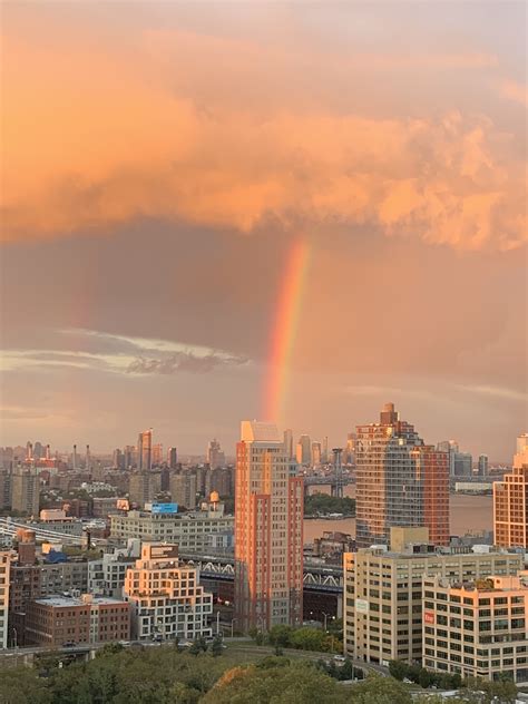 Dinosaur in Brooklyn : Brooklyn