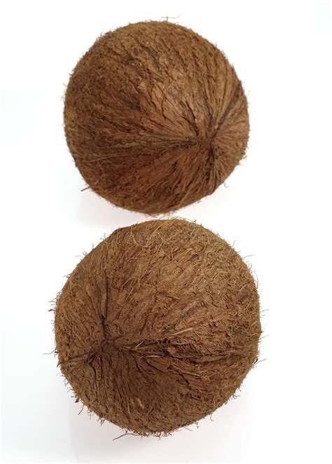NOIX DE COCO stock photo. Image of exotic, botany, ingredient - 171563690
