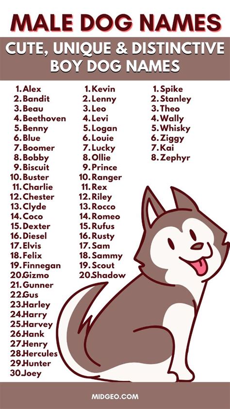 unique boy dog names  meaning cute  creative artofit