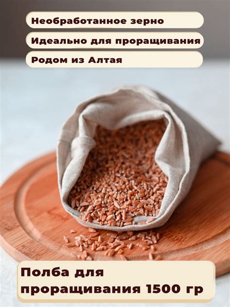 Полба натуральная, необработанная, подходит для проращивания - купить с ...