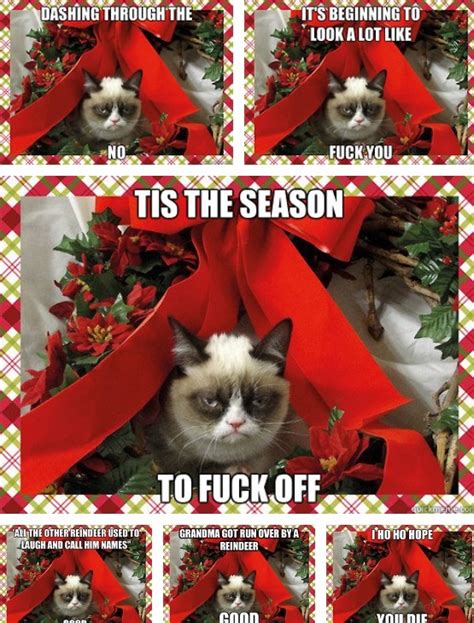 🔥 [50+] Grumpy Cat Christmas Wallpapers | WallpaperSafari