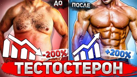 ЛЕГАЛЬНАЯ ФАРМА / КАК ПОДНЯТЬ ТЕСТОСТЕРОН - YouTube