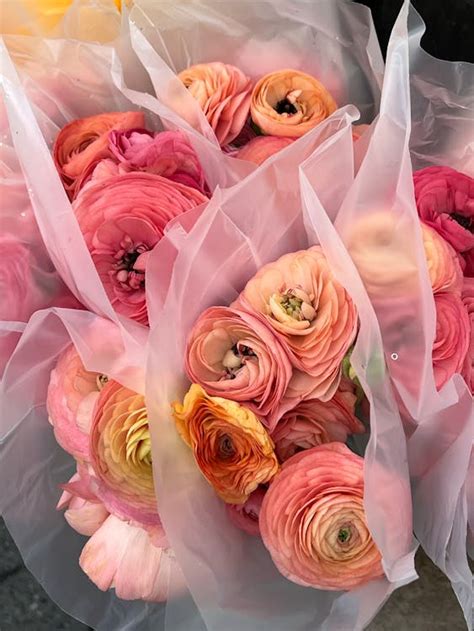 Безкоштовне стокове фото: ranunculus, барвистий букет, ботанічний ...