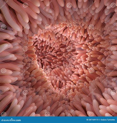 3D Rendering Medically Accurate Illustration of Intestinal Villi. Red