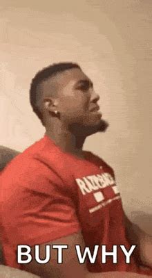 But Why GIFs | Tenor