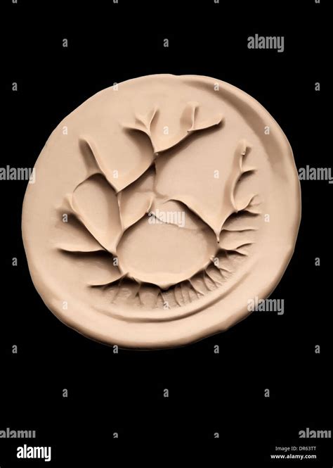 Foundation make up Stock Photo - Alamy