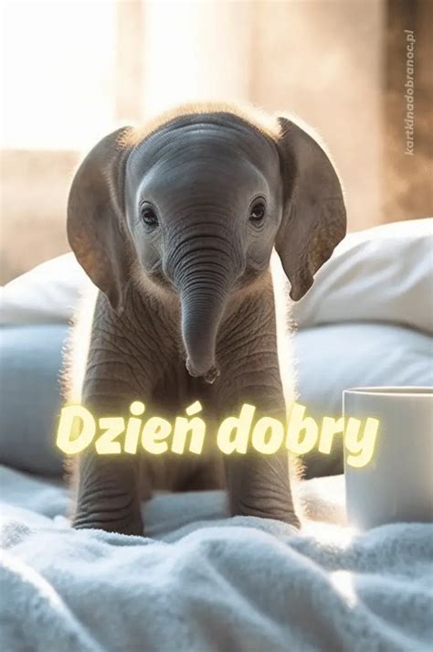 80 Wesołe Kartki na Dzień Dobry, Idealny Start Dnia