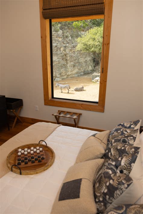 San Antonio Zoo Overnight - Stay at Spekboom Lodge