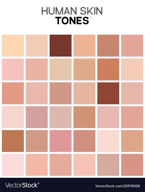 Skin Tones Human Skin Color Skin Color Chart Skin Col - vrogue.co