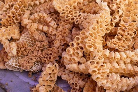Propolis: Benefits, Uses, Side Effects, and More